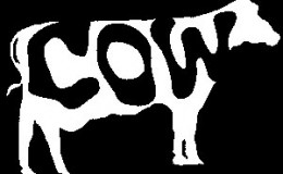 COW TV (2004 – Part 1)